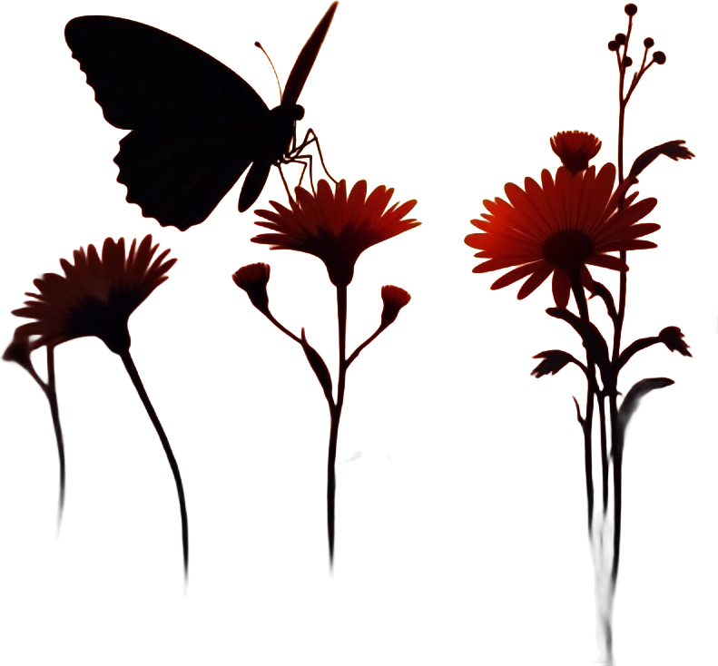 Butterfly and Flowers Silhouette